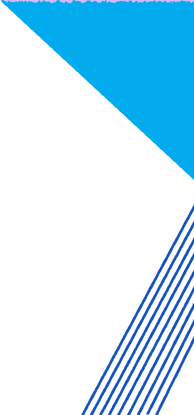 shape