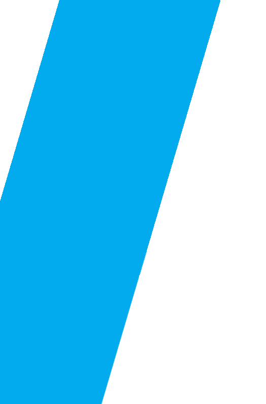 shape